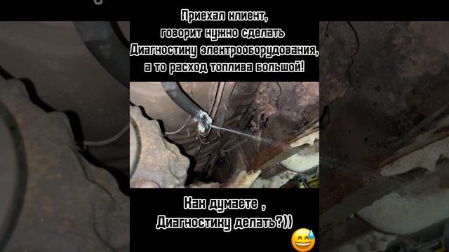 Немного юмора )