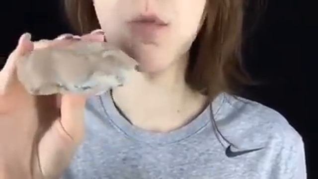 Мел Туркестан самый лучший