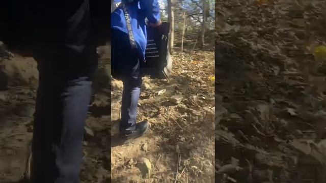 -телик