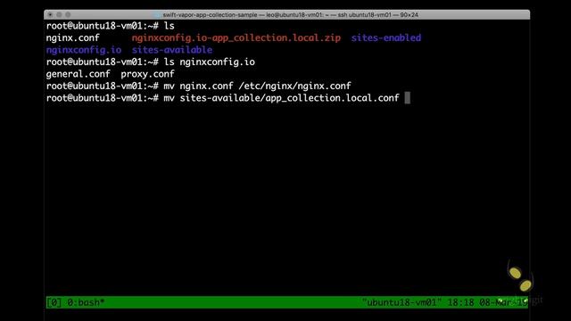 Vapor Deep Drive - Step 21 - Setting Up Nginx In Ubuntu