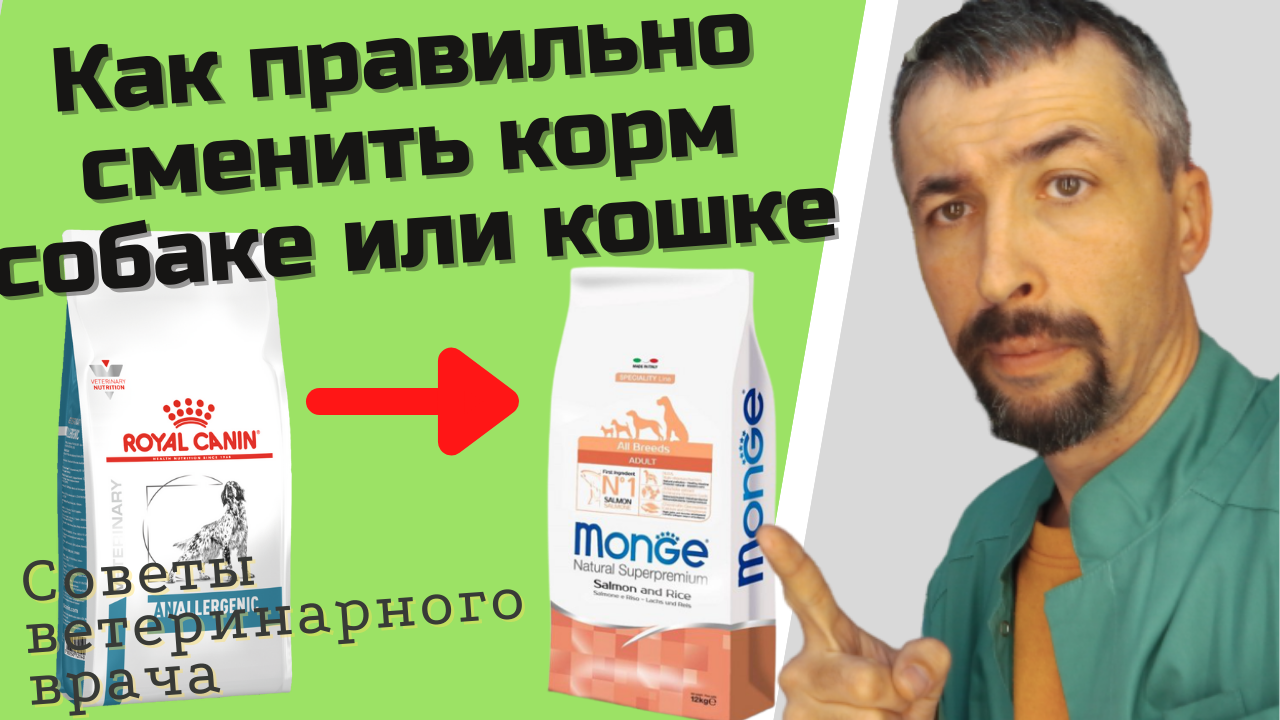 Как переходить на другой корм