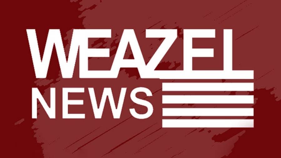 Проморолик для Weazel News