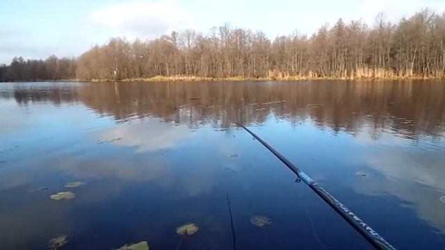 Рыбалка Ловля щуки на живца 3 11 20