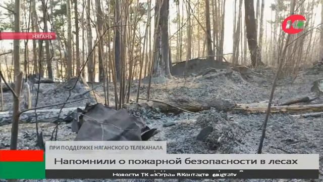 Няганцам напомнили о пожарной безопасности в лесах