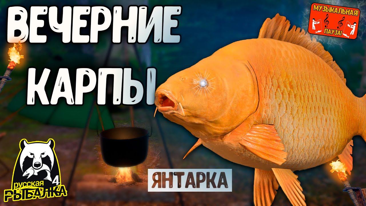 РР4/ рыбалка для души, ловим как универсал, общаемся 26.12.23
