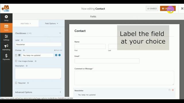 How To Integrate WP-Forms with Newsletter