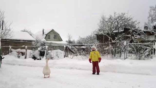 С соседским гусем