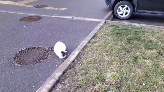 Как можно изменить реальность  Утренняя прогулка по Горячему Ключу  Елена Ушанкова