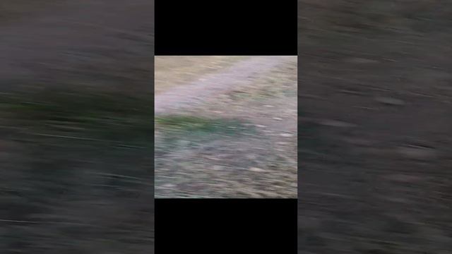 покатушки по деревне.mp4