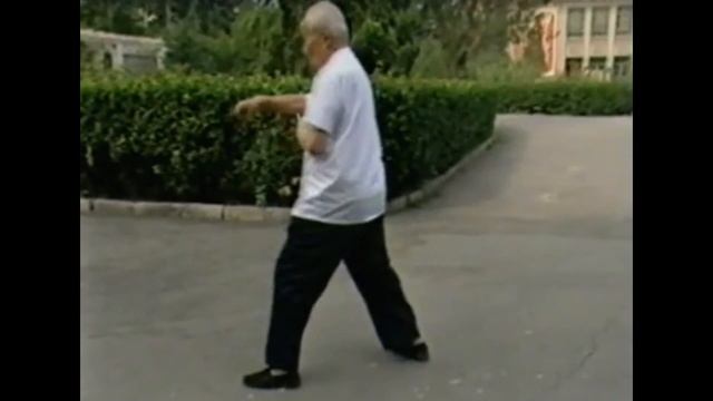 Тайцзицюань Стиль Хун кунг фу цигун  Kung fu tai chi qigong Stile Hong tai chi