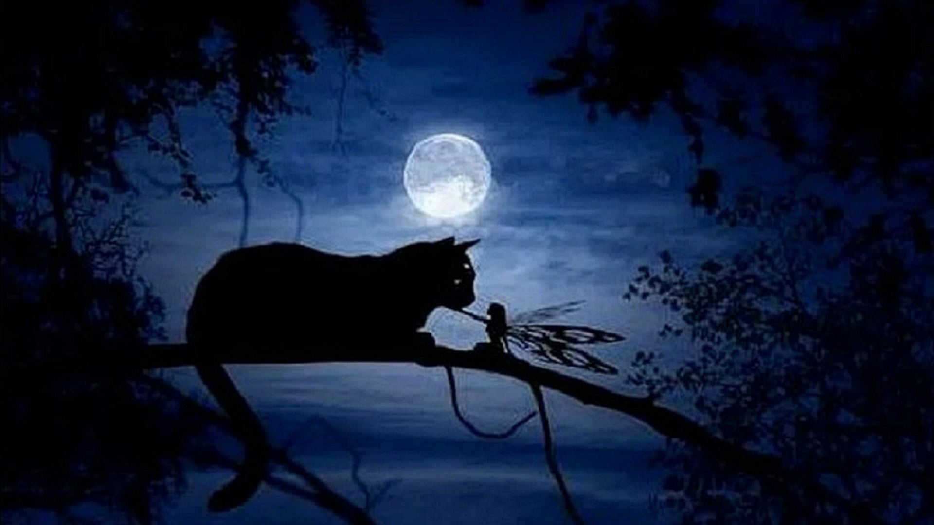 Лунный кот картинки
