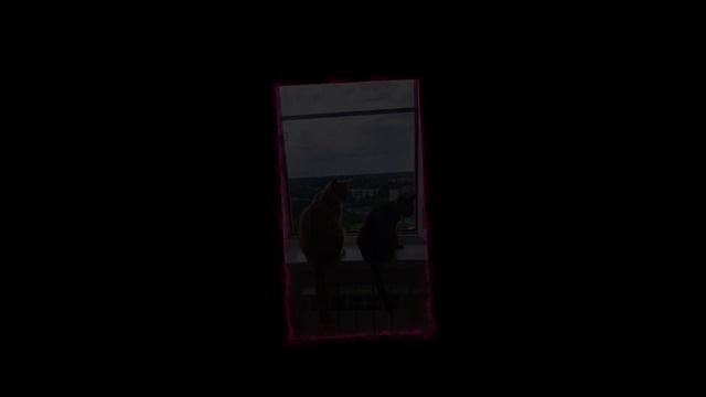 Наши коты song tutorial