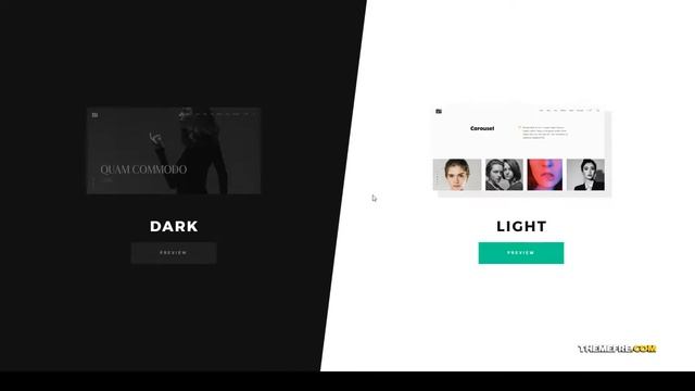 TheBi - Photography WordPress Theme studio fashion Build Website