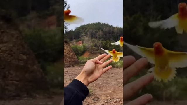 Как в сказке