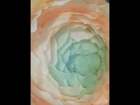 Ранункулус из гофре бумаги.