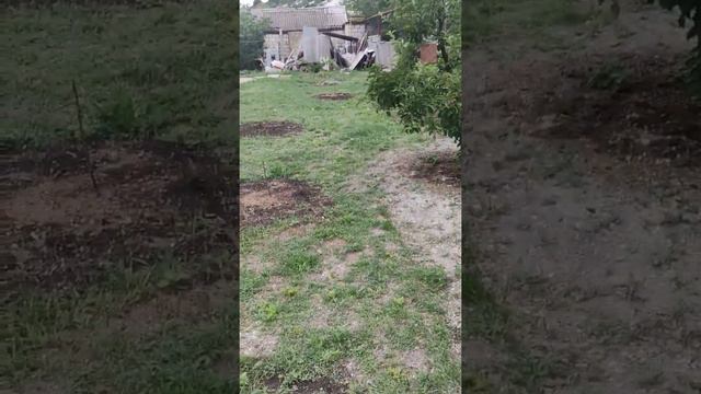 Подробный ролик про наш сад и огород в начале лета.