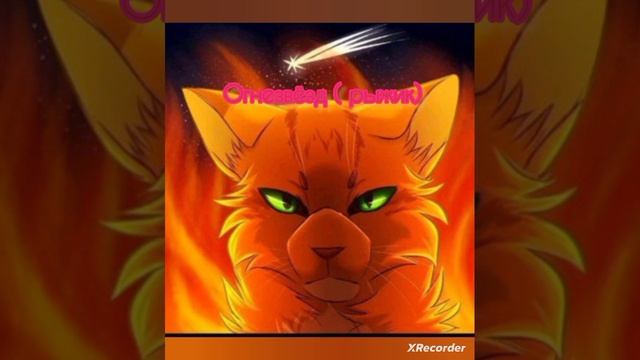 коты воители