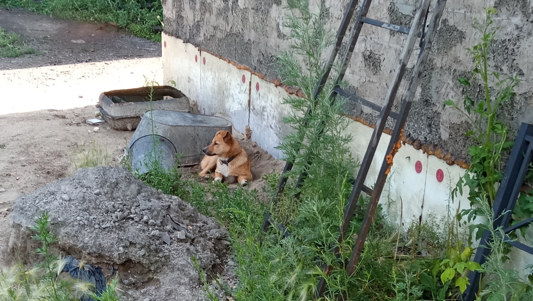 как на работе