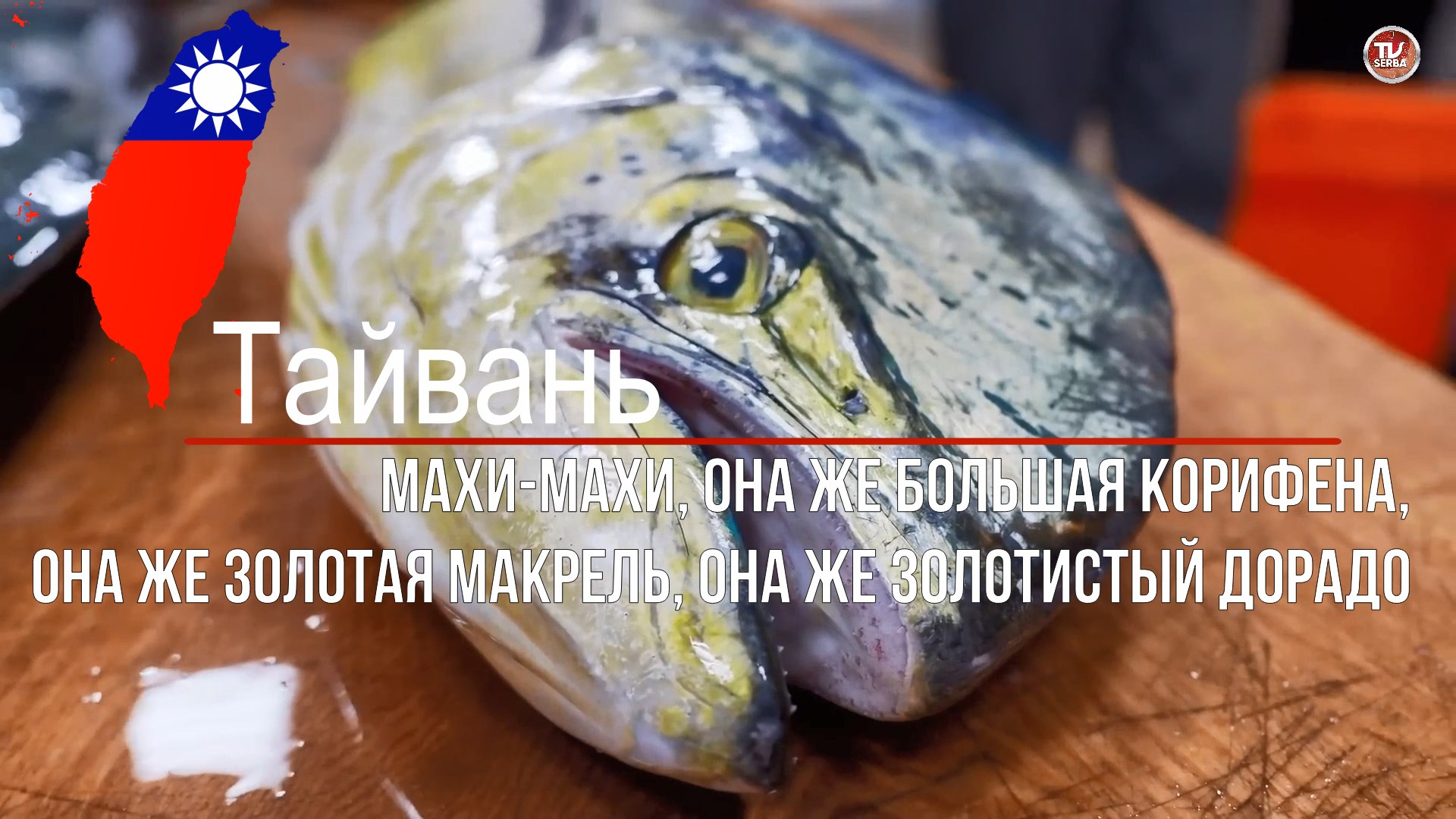 Морская рыбалка. Большая корифена или махи-махи – красивый и довольно редкий трофей / СербаТВ 🔴
