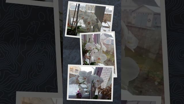 Красотка! С добрым утром! 👏👏🌷🌷💕💕❤️🌺🌺💐💐