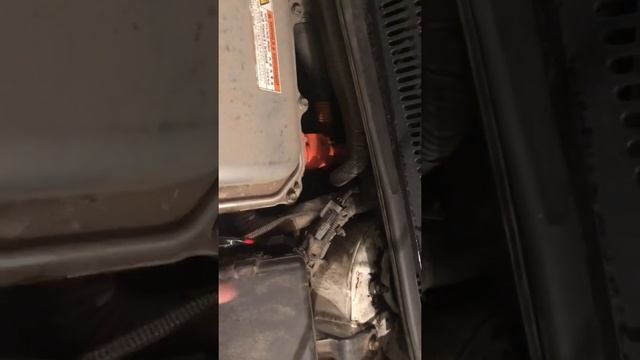 Сигналы Газ 24 в Приус 20