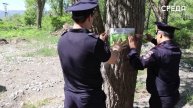 Рейды по нарушениям пожарной безопасности провели сотрудники ОНД и ПР в Эльтавском лесу