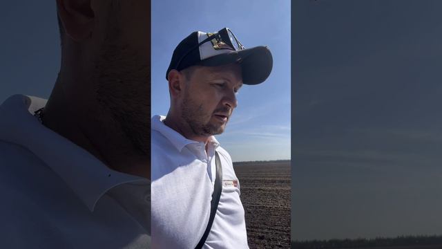 Сев озимого рапса по биотехнологии