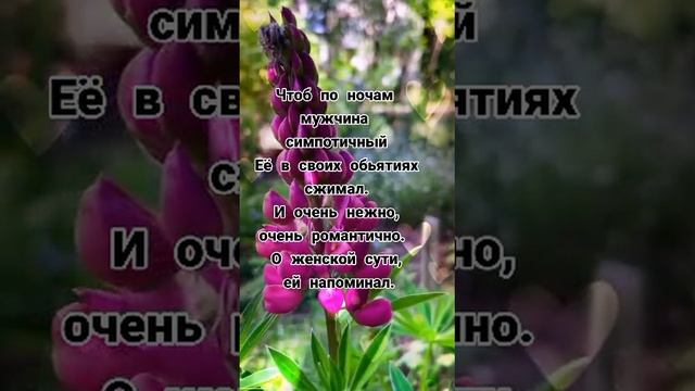 VID_20230415_154521_800.mp4
