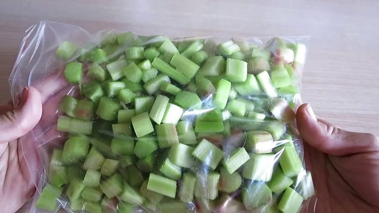 РЕВЕНЬ ЗАМОРОЗКА. ПОЛЬЗА И ВРЕД РЕВЕНЯ  Freezing Rhubarb