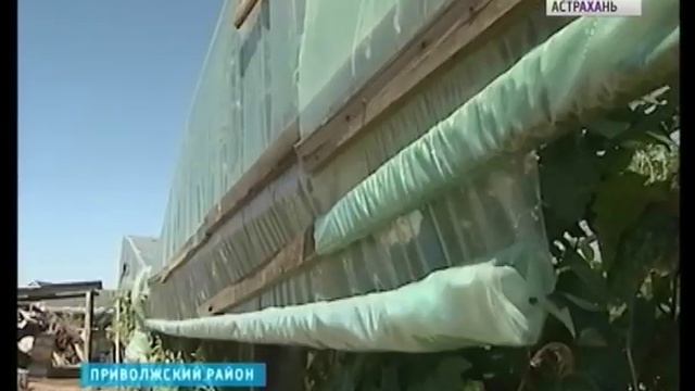 В Астрахани знают, как превратить огород в прибыльное дело