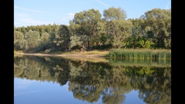 День флага России.