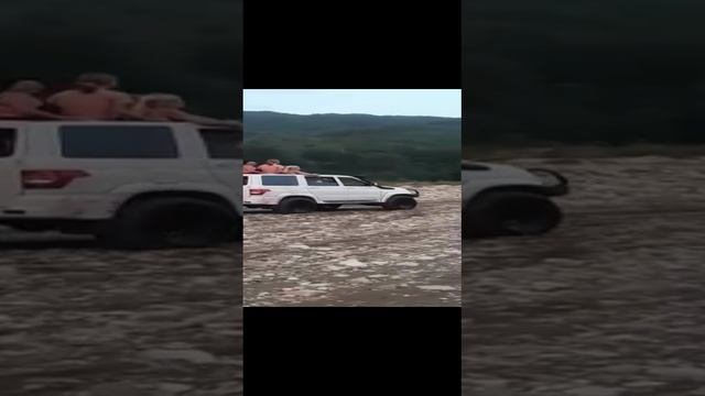 Без названия