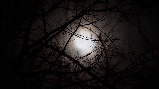 Релакс - музыка для приятного сна / Relax - music for a pleasant sleep
