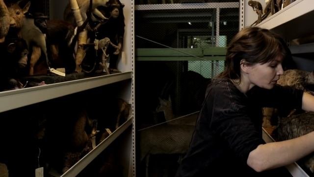 Когти или ногти: что лучше? Елена Сударикова и Наталья Носова