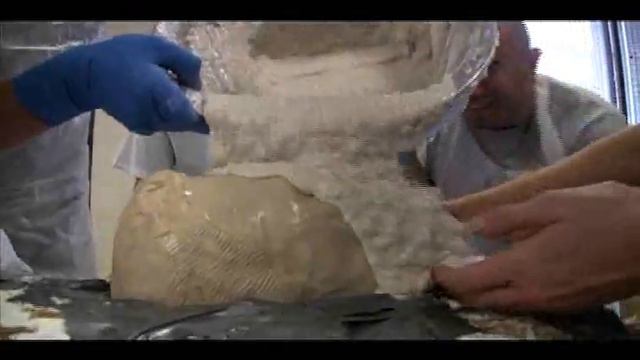 Making a Death Mask - 2008-01-20