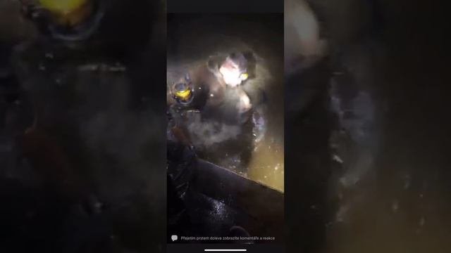 СОМ утащил рыбака
