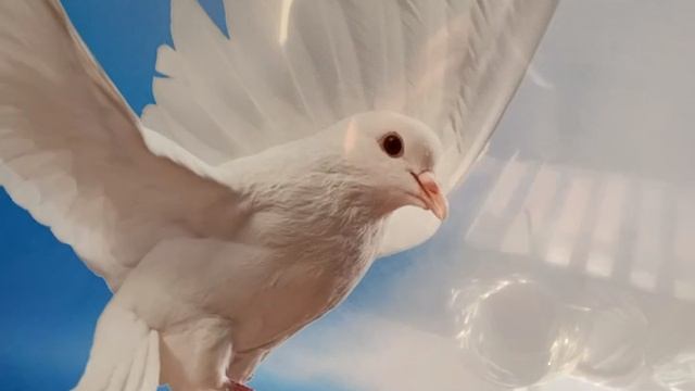 Без названия