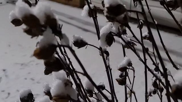 Кажется будто попадаешь в сказку когда вечером идёт снег.