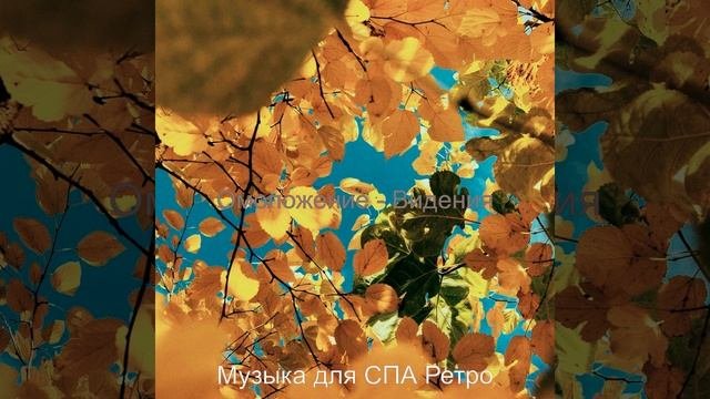 Чувство Оздоровительный