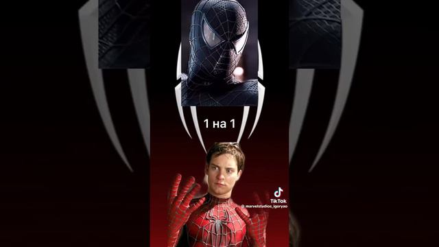 Spider-Man VS Spider-Man (BLACK)