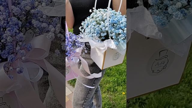 petal_20230506_123834.mp4