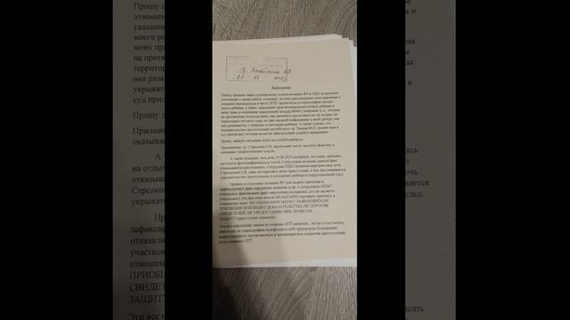 Суд над Сергеем Ефремовым часть 2!