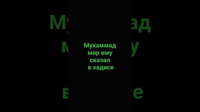 Мухаммад мир ему сказал что читать перед сном #религия #напоминания #