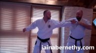 Practical Kata Bunkai: Jion Bunkai