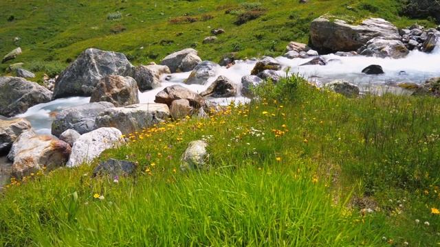 Relaxing sounds of the river/Birdsong / asmr/ Расслабляющие звуки реки/Пение птиц