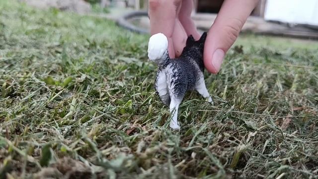 фигурки собак которые мне подарили на день рождение
