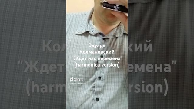 Эдуард Колмановский "Ждёт нас перемена" (harmonica version).