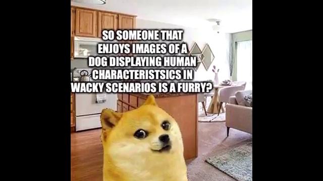 dad, what is a furry