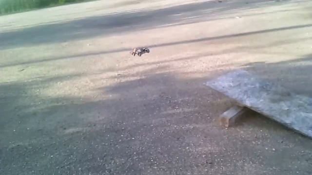Покатушки Himoto Spino