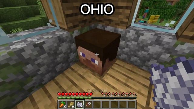 java vs ohio #7